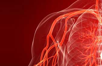 Paulo César - Foto 1