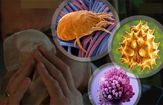 Hakaru Otta - Foto 1