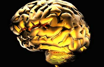 Clínica Neurológica de Apucarana - Foto 1