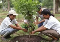Programa Apucarana mais Verde