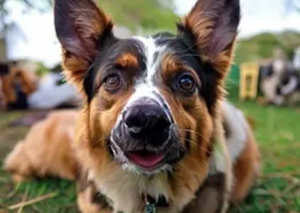 Últimas noticias de Apucarana