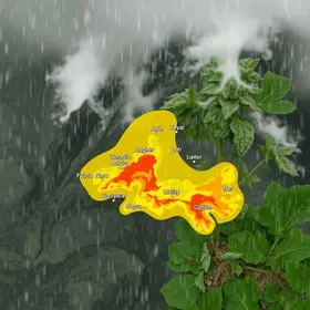 Apucarana dia chuvoso