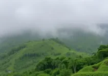 pancadas fortes e rápidas em Apucarana