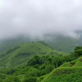 pancadas fortes e rápidas em Apucarana