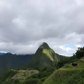 previsão do tempo em Apucarana