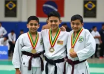 Apucarana karatê medalha