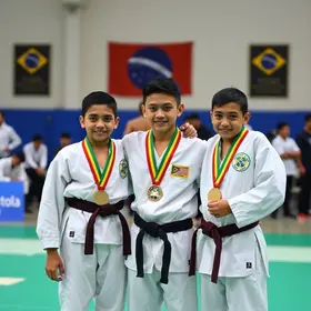 Apucarana karatê medalha