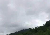 previsão do tempo em Apucarana