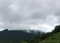 Apucarana dia nublado