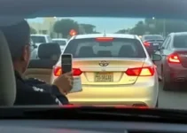 motorista embriagado