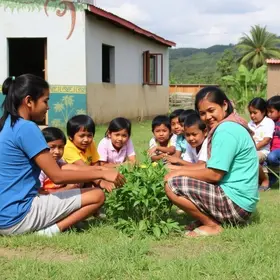 Programa Mãos Amigas
