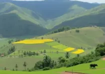 desenvolvimento do Vale do Ivaí