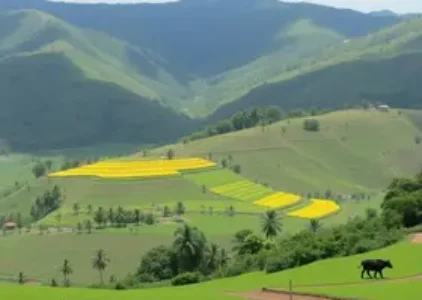Últimas noticias de Apucarana