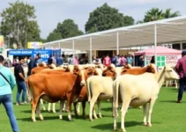 Expoagri 2026
