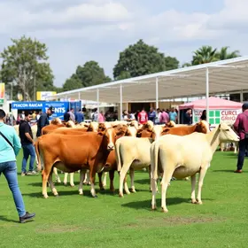 Expoagri 2026
