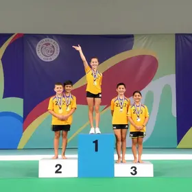 ginástica artística