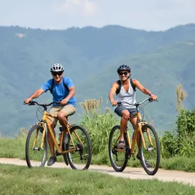 bicicletas de bambu