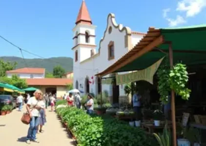 Últimas noticias de Apucarana