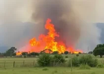 carros roubados em Apucarana