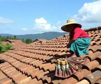 apucarana