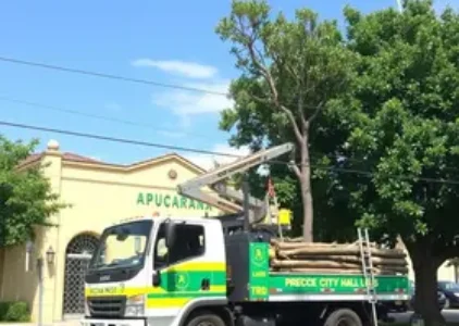 Últimas noticias de Apucarana