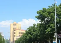 PSS’s da Prefeitura de Apucarana