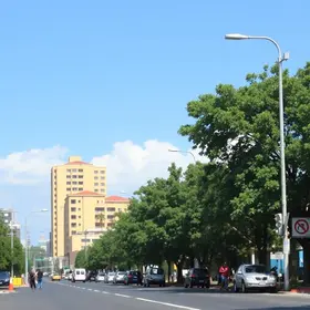 PSS’s da Prefeitura de Apucarana