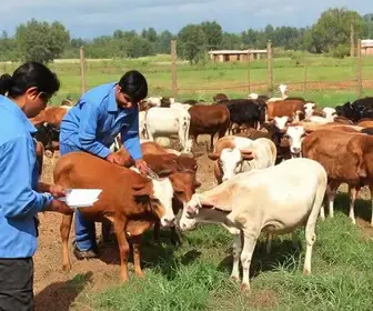 curso técnico em Agropecuária