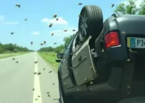 Motorista capota carro e cai em barranco