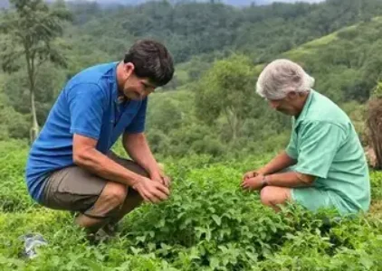 Últimas noticias de Apucarana