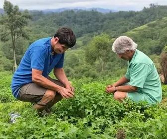 regulação da saúde de Apucarana